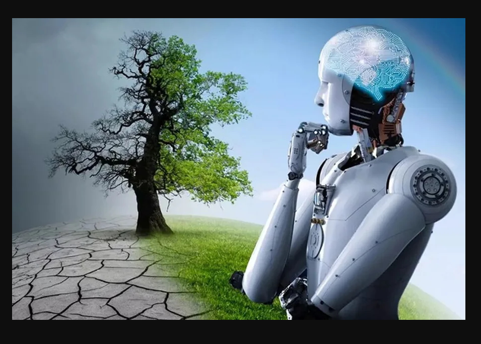 🎓 Course: Introduction to Digital Transformation II